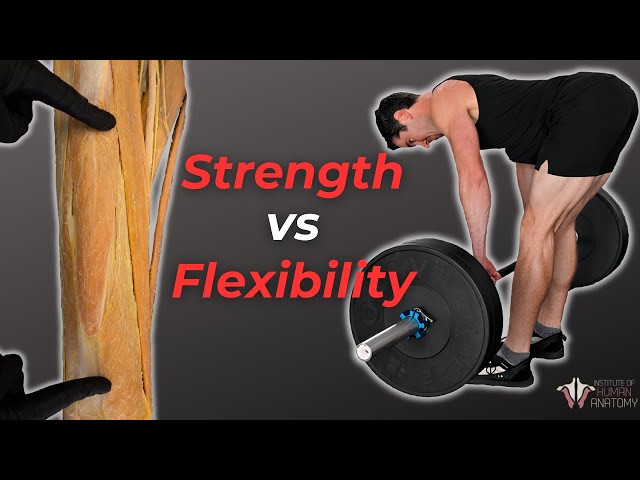 The Best Way to Build Strength AND Flexibility (Ft @TheKneesovertoesguy)