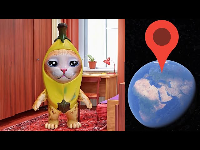 BANANA CAT Broke Into Your House on Google Earth!