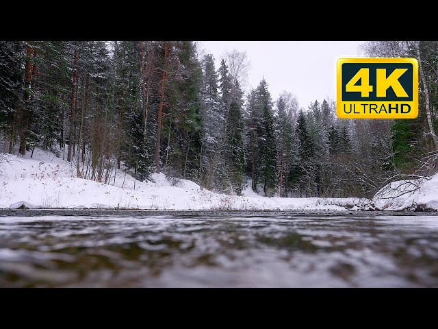 FIRST Snow in the Forest! Relax to the sounds of water, birds and snowy forest scenery