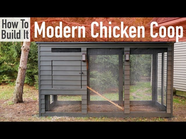 How to Build a Modern Chicken Coop