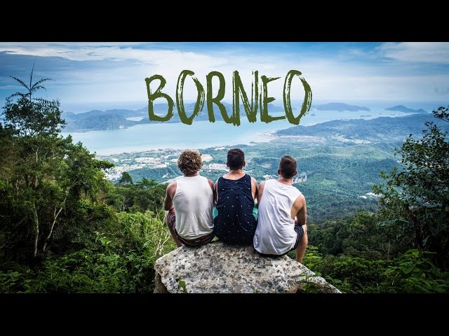 BORNEO ADVENTURES + LANGKAWI. Watch before travelling there:)!