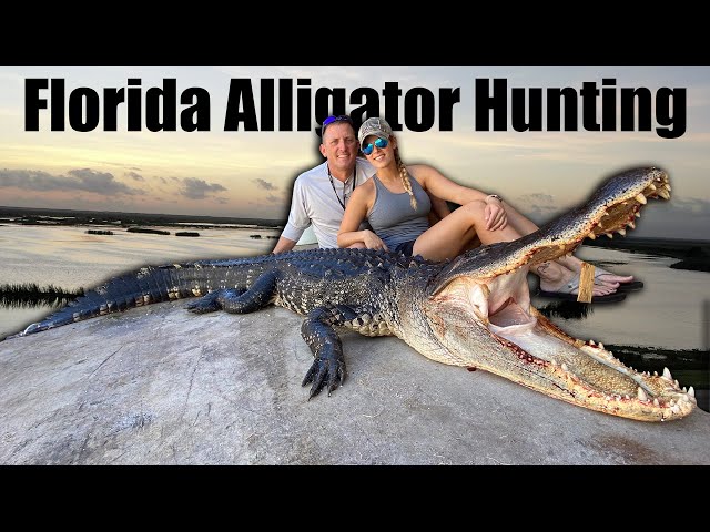 Giant Florida Gator {Catch Clean Cook} Gourmet Alligator Recipe