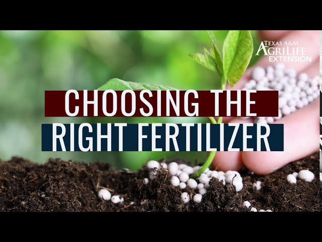 Choosing the right fertilizer for vegetable gardens