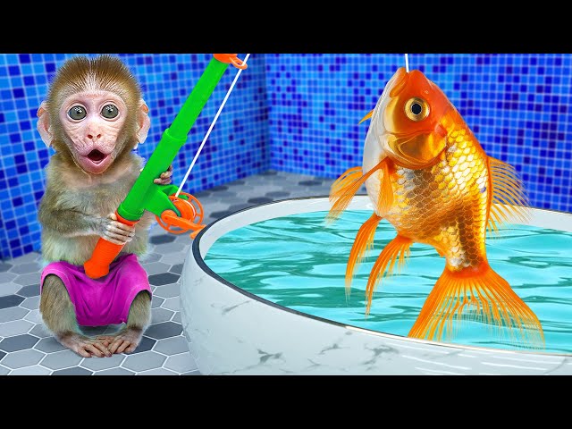 KiKi Monkey go fishing in bathtub in the toilet and eat ice cream from truck | KUDO ANIMAL KIKI