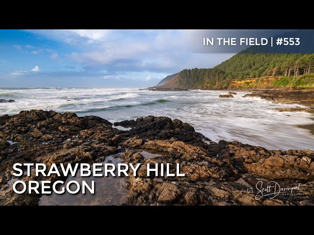 Strawberry Hill, Oregon - In The Field #553