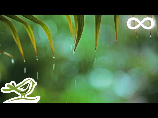 You & Me: Relaxing Piano Music & Soft Rain Sounds For Sleep & Relaxation
