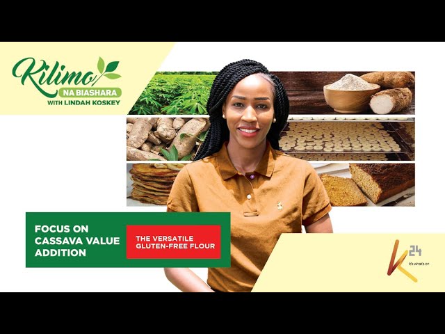 Focus on Cassava Value Addition | Kilimo na Biashara