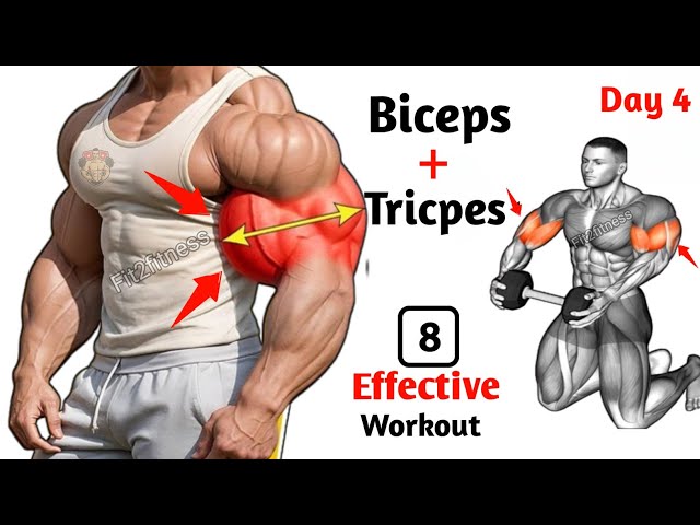 Day 4 Biceps and Triceps workout ( 8 Full Arm workout )