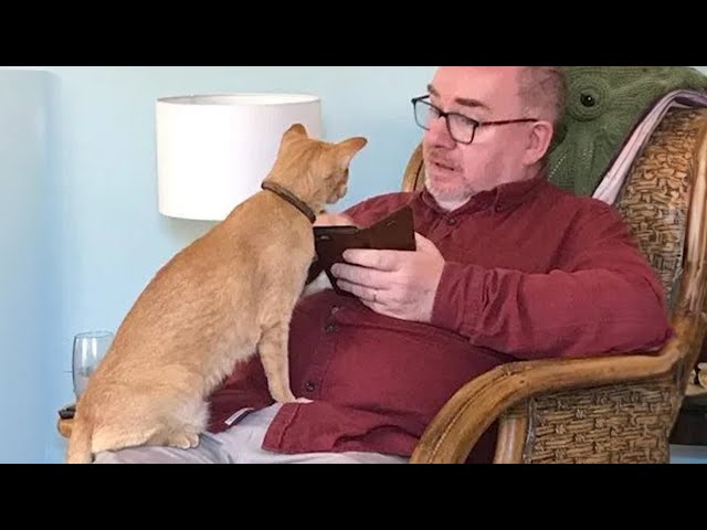 When your cat has a deep conversation with you | Funny Cat and Human 😂