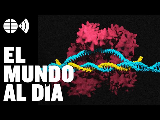 El fármaco que corrige errores en el ADN: ¿por qué la edición genética es una revolución?