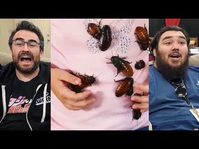 Girl Collects Cockroaches | React Couch | My Kids Obsession