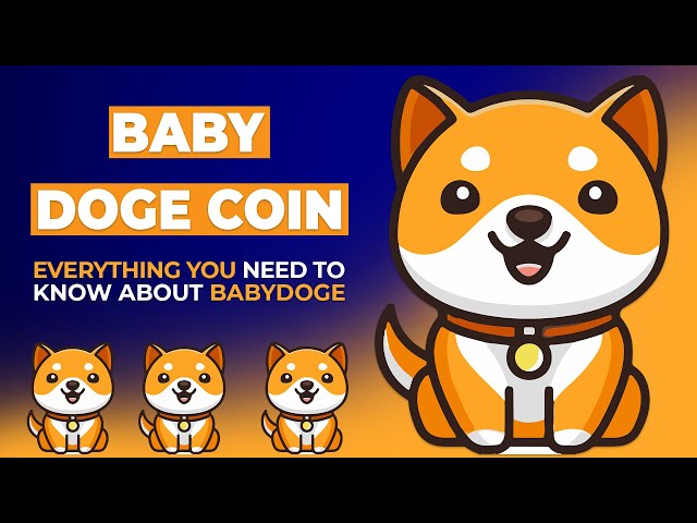 Baby Dodge Coin: Everything you need to know about Babydoge!