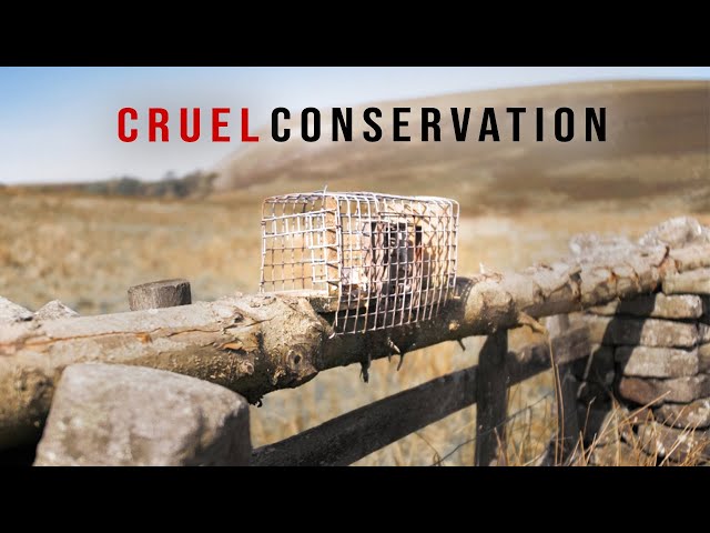 Is Conservation Too Cruel?
