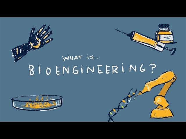 Girls in Engineering 2021: Bioengineering