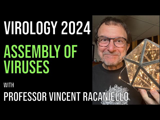 Virology Lectures 2024 #10: Assembly of viruses