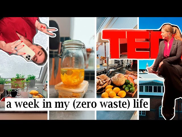 a week in my zero waste life // TEDx talk, upcycling, and making limoncello