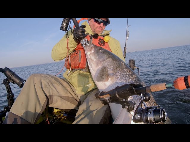 Fishing for Monster Striped Bass During the Migration.  Here's How I Troll for Dozens of 40"+ Fish