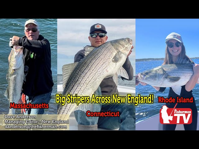 May 11, 2023  New England Video Fishing Forecast with Dave Anderson