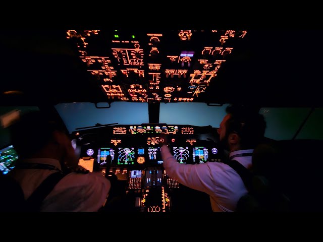 Flying In Extreme Weather Conditions | Heavy Snow | Boeing 737 Go Around Cockpit View