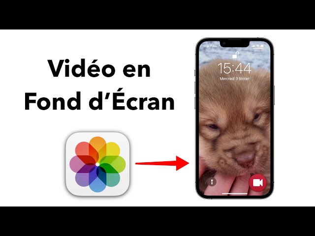 Comment Mettre une VIDÉO en FOND D'ÉCRAN sur iPhone