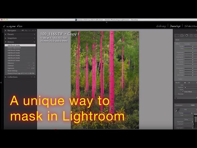 A unique way to use Lightrooms Automask feature