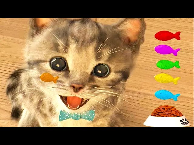 Little Kitten Adventure -  Kids Stories Best Preschool Educational Videos for Toddlers Learn Numbers