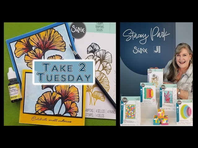 Class 5 -Take 2 Tuesday Class Featuring New Sizzix Releases & New Jacquard Inks both by Stacey Park