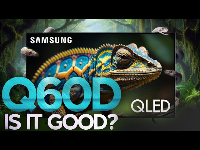 2024 Samsung Q60D QLED 4K Review - Affordable Smart TV Also in 32"