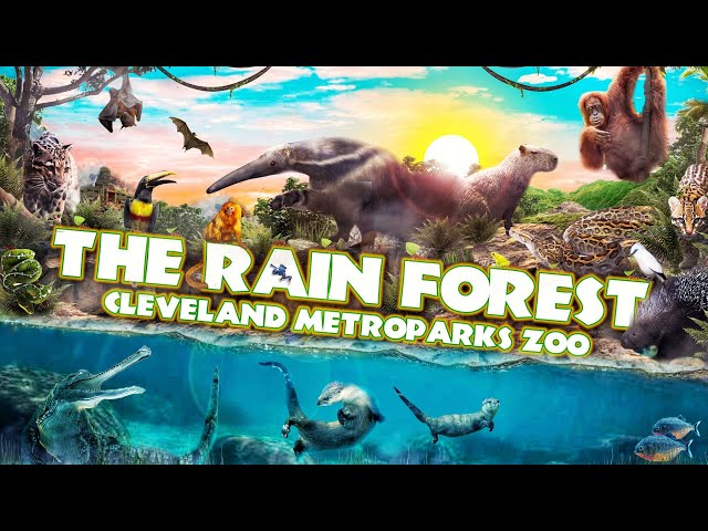 Zoo Tours: The Rain Forest | Cleveland MetroParks Zoo