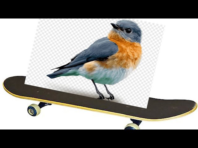 skatebird is kinda bad but also kinda good lol