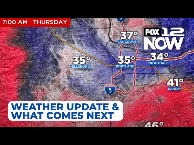 LIVE: FOX 12 weather update with meteorologist Katie Zuniga