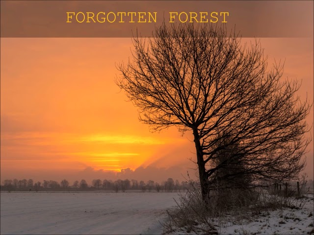 forgotten Forest - vergessener Wald / save our forests / Orchestra, piano, bells,