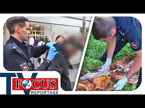 Von Verbrecherjagd bis Wildunfall: Polizeieinsätze in Stadt & Land | Focus TV Reportage