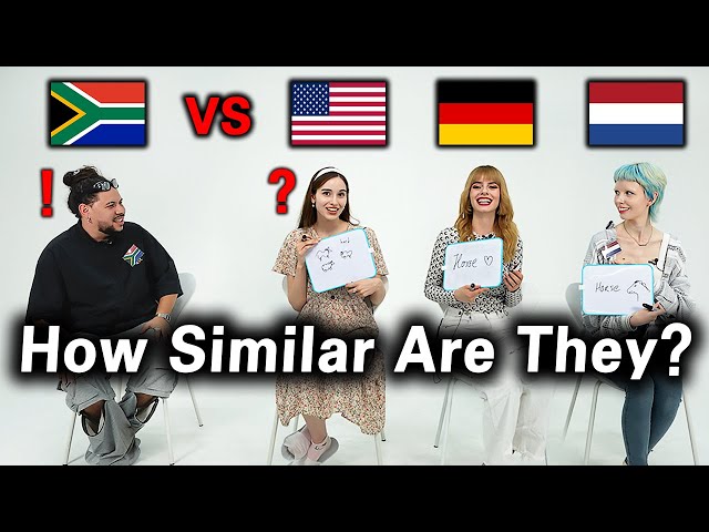 Afrikaans Language l Can West Germanic Language Speaking Countries Understand Each Other?