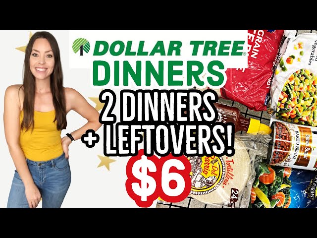 DOLLAR TREE DINNERS | 2 Dinners For $6 + Leftovers! EXTREME BUDGET MEAL IDEAS | Vegan On A Budget