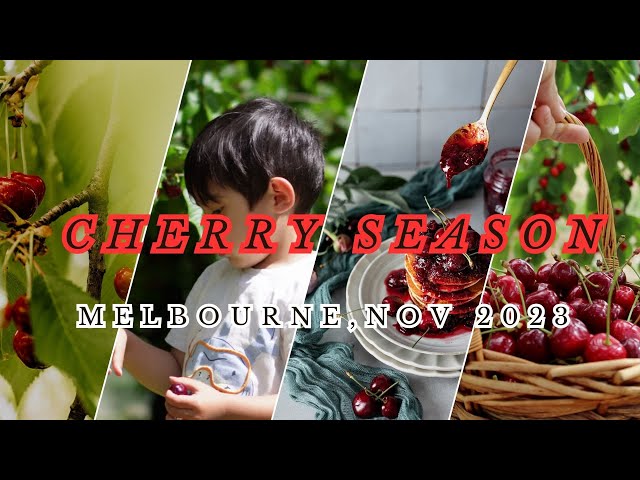 Sweet Cherries & Beach Vibes: Our Perfect Day in 2023! 🍒🏖️ #CherryFarm #BeachDay