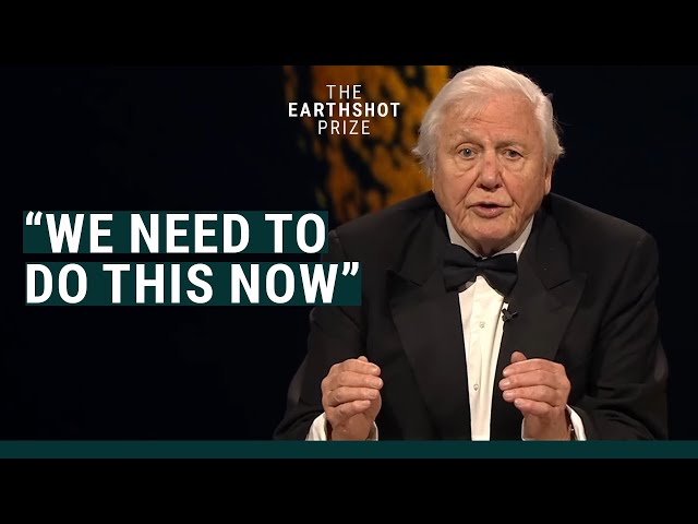 Sir David Attenborough's Speech at the 2021 Earthshot Prize #EarthshotPrize