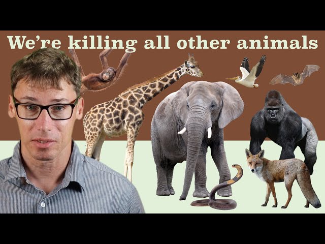 Humans Are Killing All Other Animals