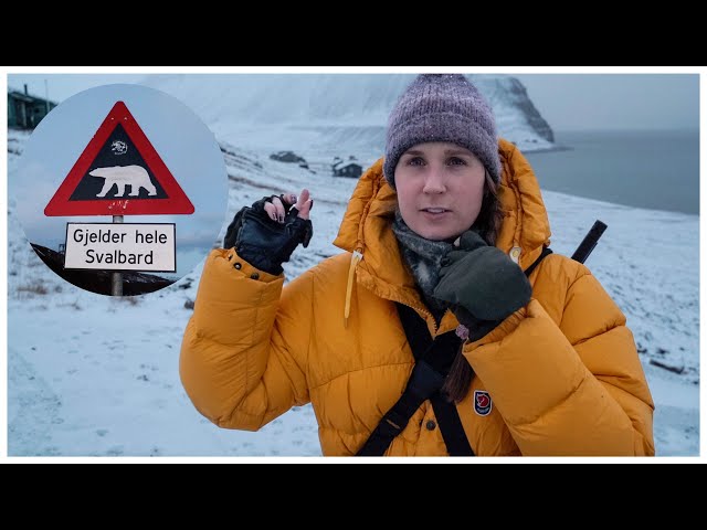 Why I have to carry Polar Bear protection when walking my dog | SVALBARD close to the North Pole