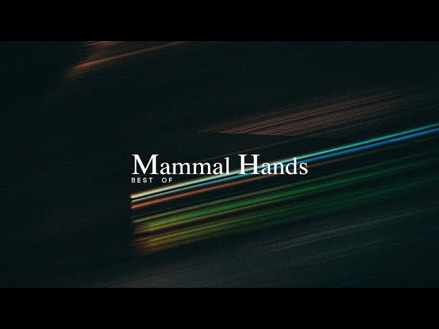 Best of Mammal Hands