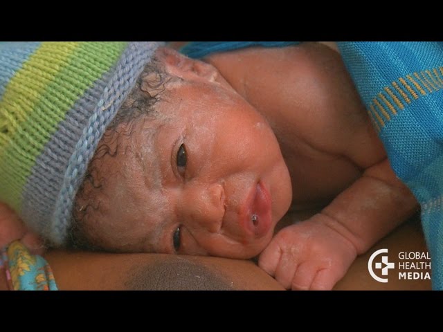 Providing Essential Care at Birth - Small Baby Series