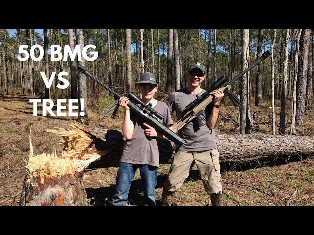Shooting Down a Tree with 50BMG!!!