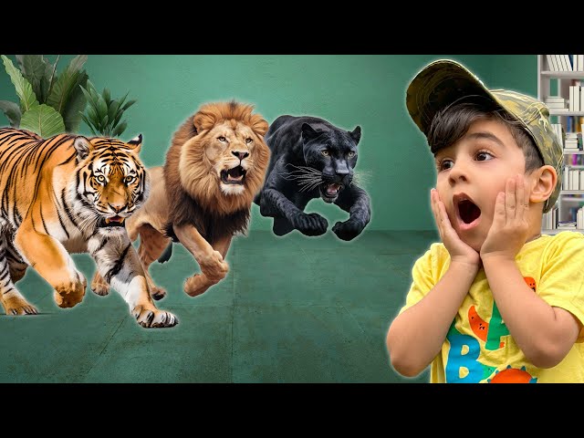 Big Cats for Kids| Atrin and Soren's Library adventure into the Zoo of Big Wild Cats | Educational