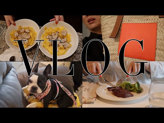 VLOG - New LOEWE Summer Handbag | Wagyu Steak and Black Truffles!