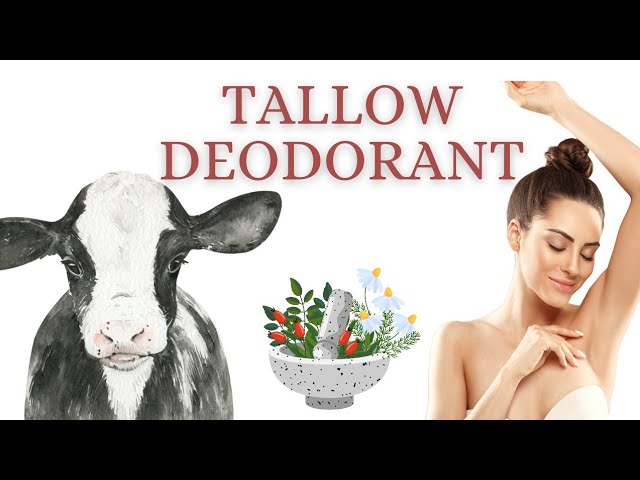 Tallow and Magnesium Herbal Deodorant Recipe | DIY Toups and Co Inspired Deodorant