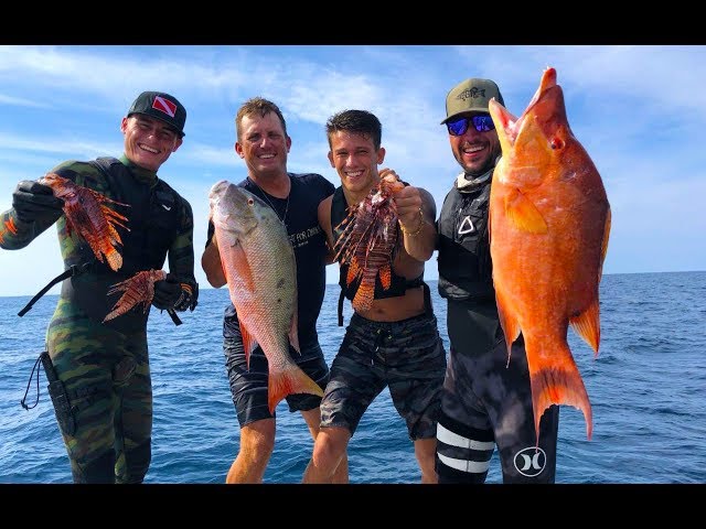 Spearfishing Lionfish, Hogfish {Catch Clean Cook} Ft  DALLMYD, Jiggin with Jordan, Yappy Twan Twan