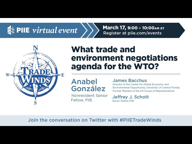 What trade and environment negotiations agenda for the WTO?