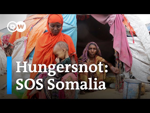 Warum die Hälfte der somalischen Bevölkerung auf Lebensmittelhilfe angewiesen ist | DW Reporter