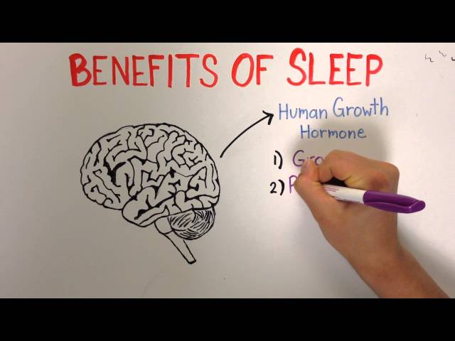 Sleep 1: Importance and Benefits of Sleep