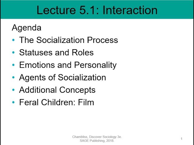 Soc 101 Lecture 5.1: Interaction